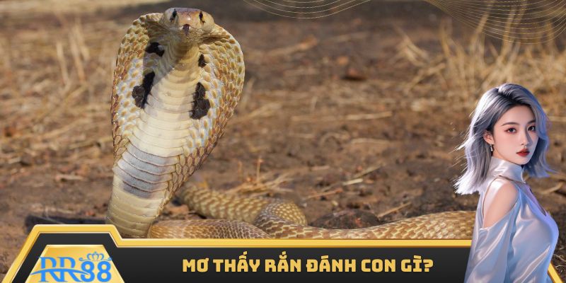 Đánh số đề nào khi nằm mơ thấy rắn?