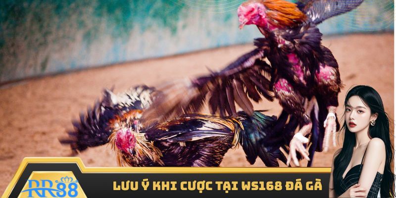Ghi nhớ một số vấn đề khi cá cược