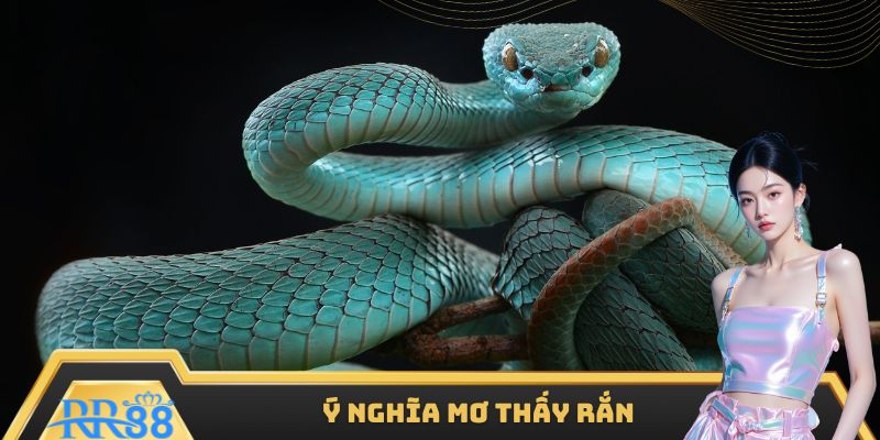 Giải mã mơ thấy rắn dưới góc độ tâm linh