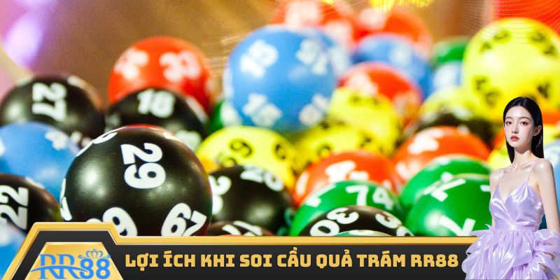 Lợi ích khi soi cầu quả trám RR88