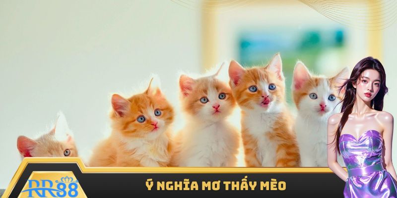 Mơ thấy mèo giải thích ý nghĩa cụ thể